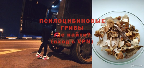 гидропоника Бугульма